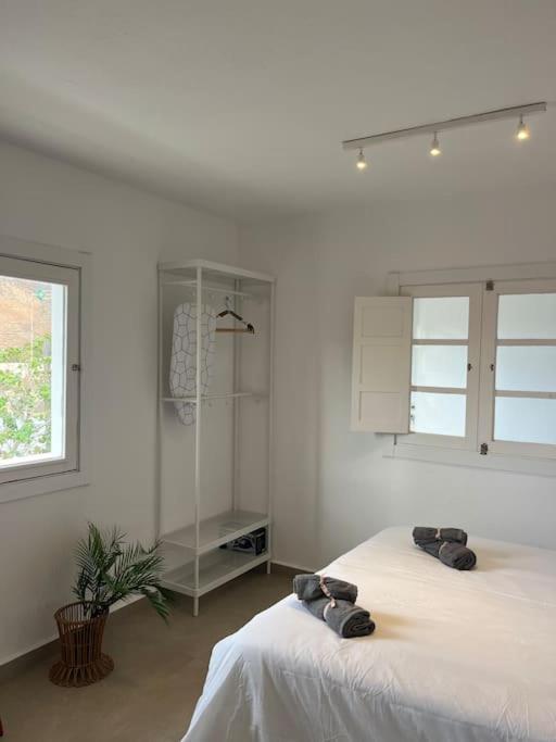 Casa Plaza 2 Lejlighed Vega de Rio de Palmas Eksteriør billede